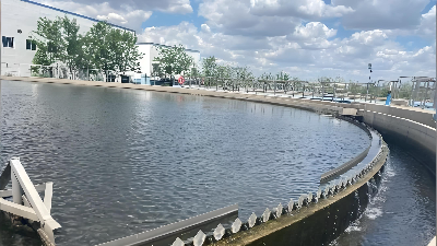 二沉池發黑如何解決