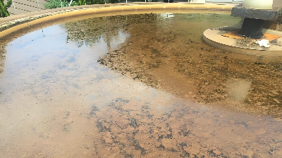 水解酸化池污泥上浮對策